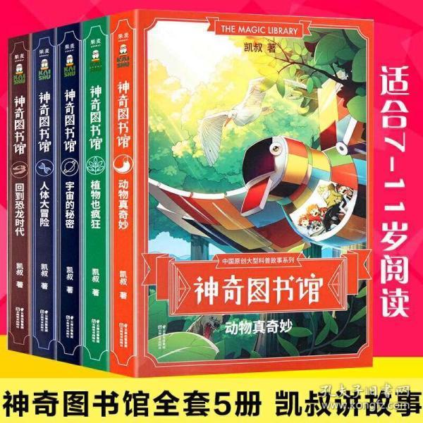 懒惰男孩拯救