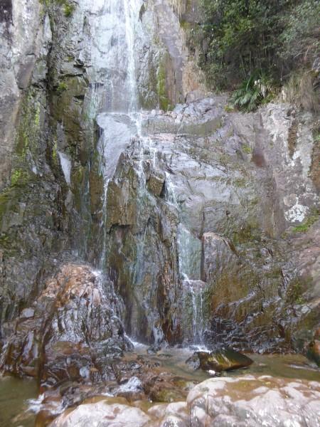 企鹅回城5之飞渡横木